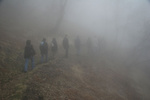 Walk in the mist