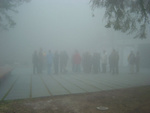 Cardada: lost in the fog