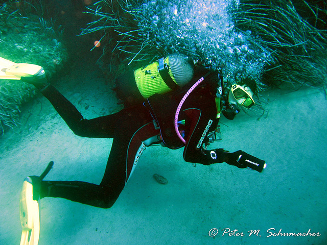 Cala Morell - es gibt einiges zu sehen, mit Lampe noch viel mehr!